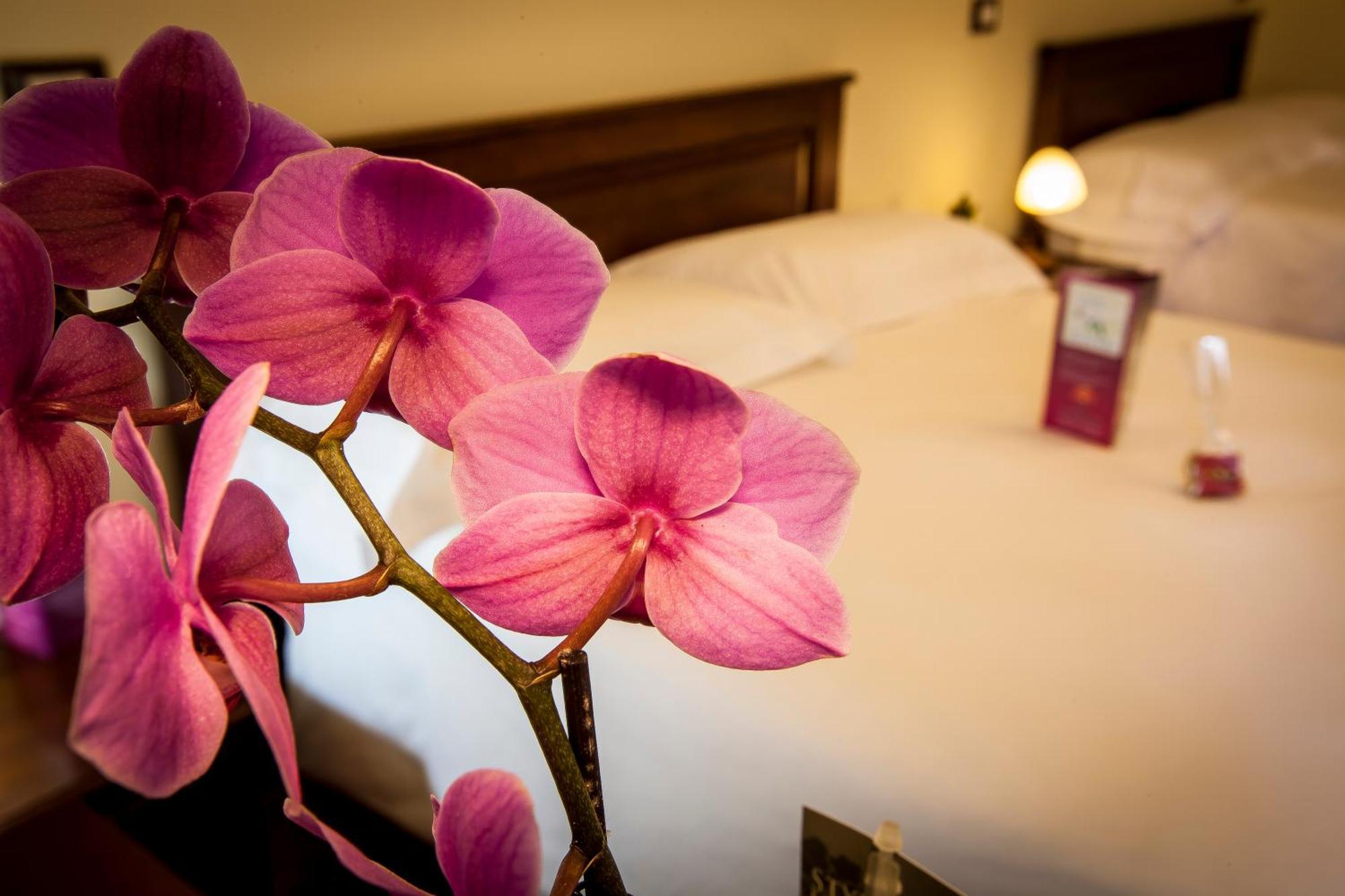 Residenza Petra Hotel