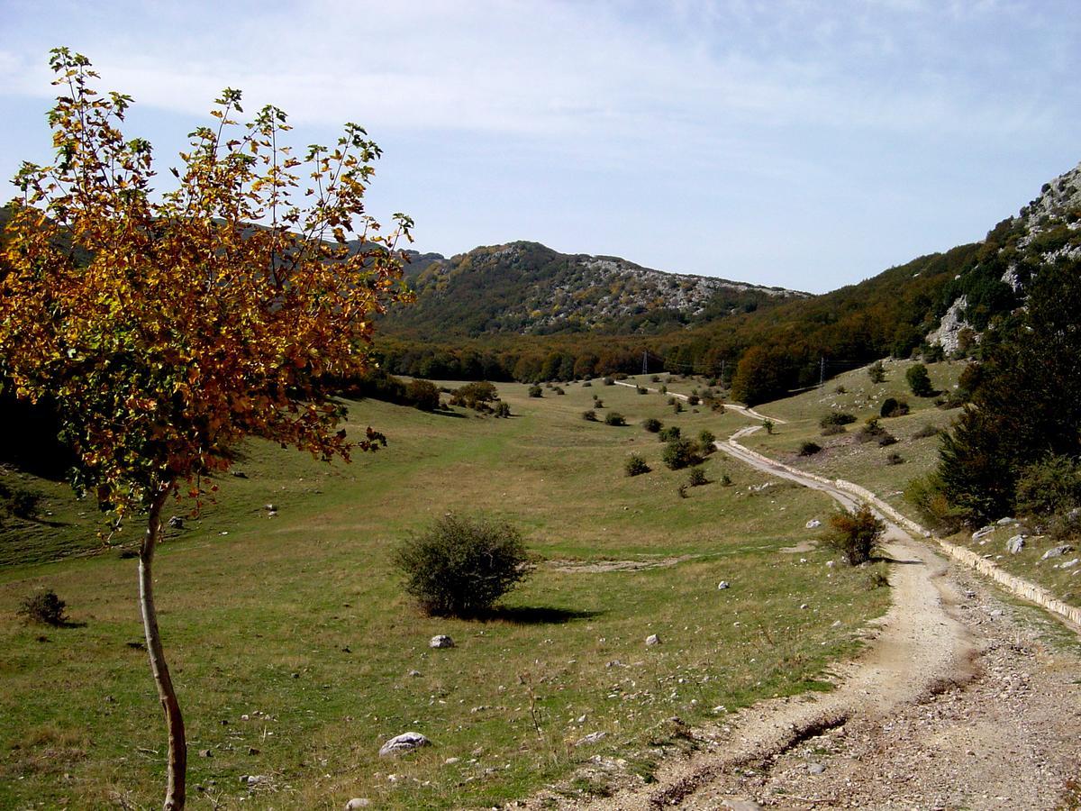 Residenza Petra 3*