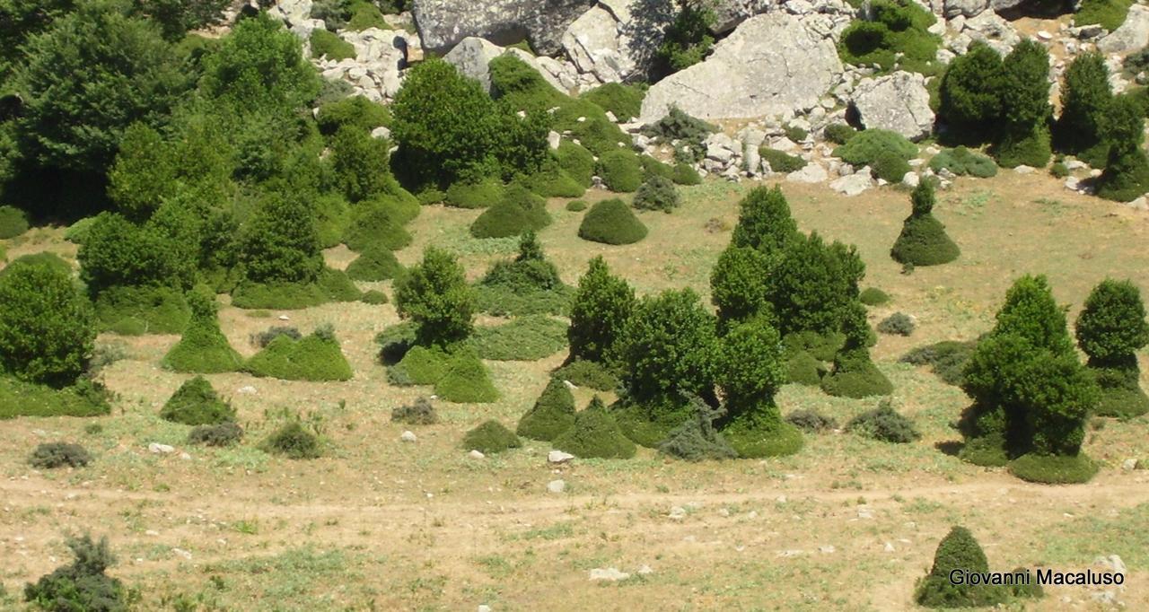 Hotel Residenza Petra Petralia Soprana