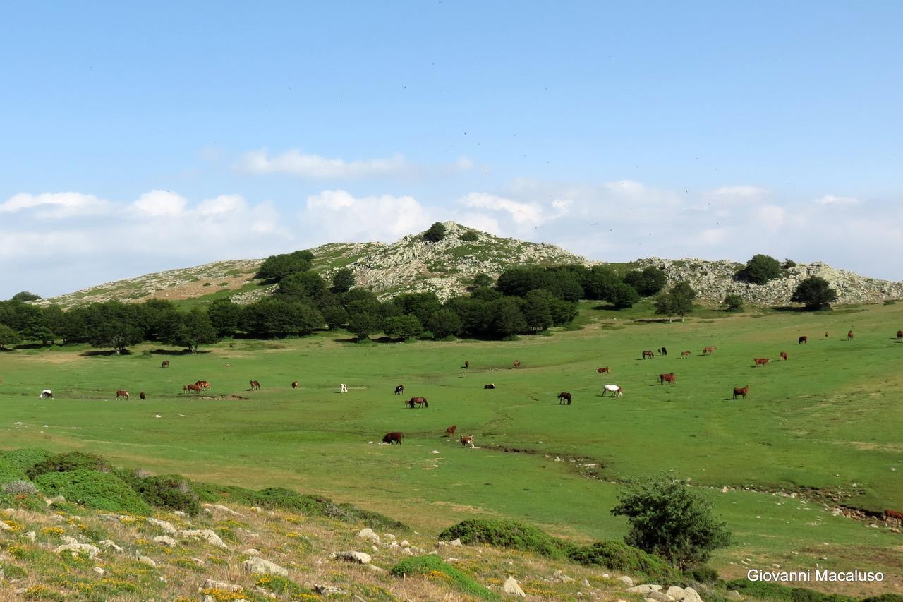 Residenza Petra Petralia Soprana